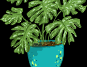 商业模式《每日大赛黑料》盈利路径深读