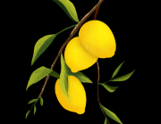 商业模式《P站》创作马拉松风险提示