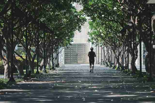 51视频网站数据可视墙:一秒读懂播放大势